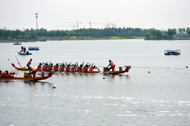 DSC_1296.JPG